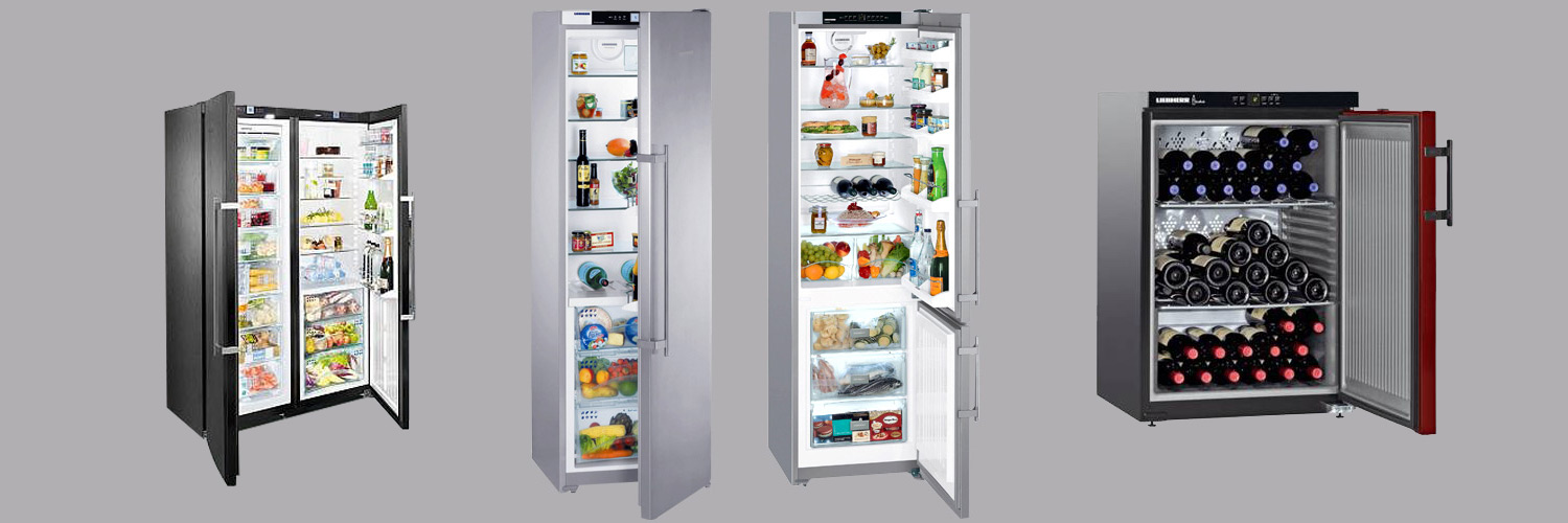 liebherr-servicio-tecnico Frigorífico Sub-Zero